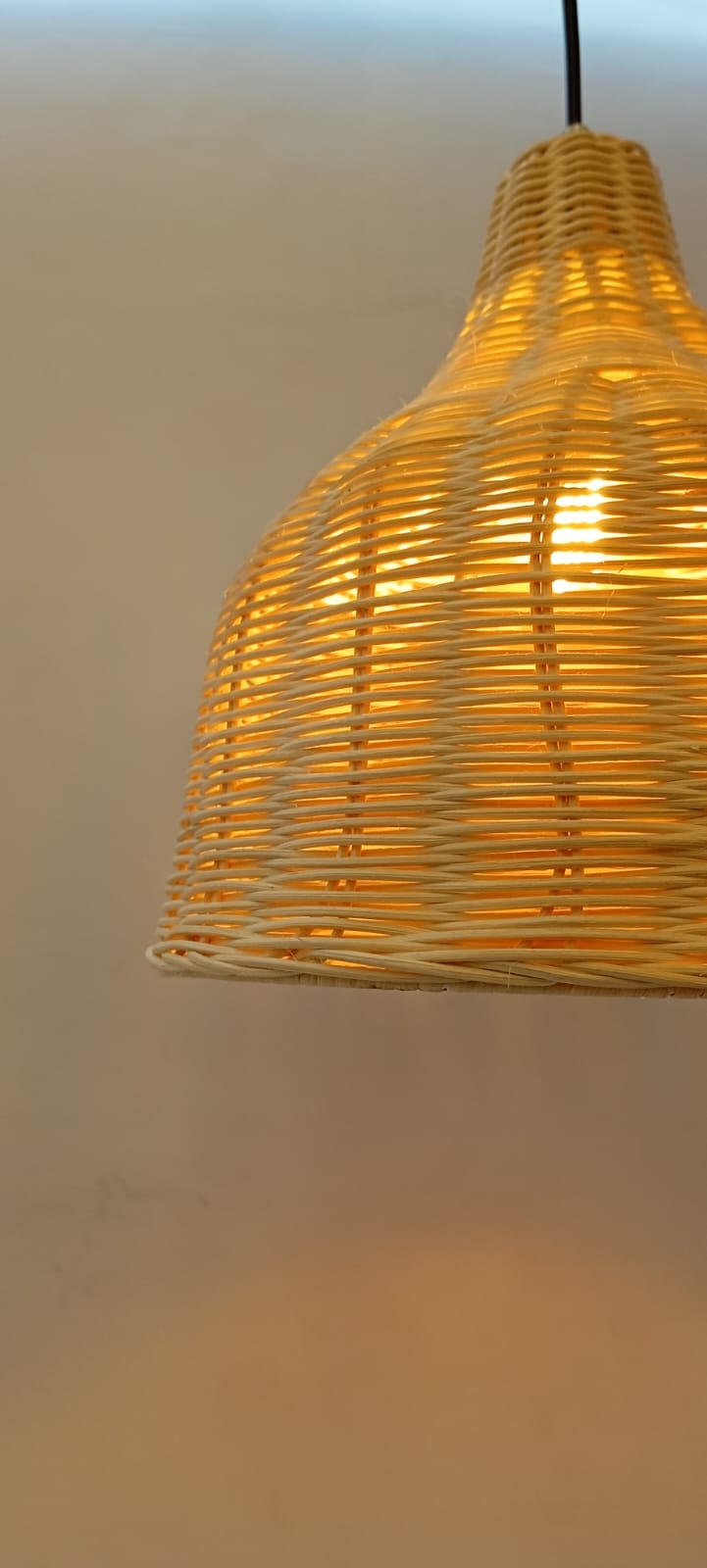 Luminária para Decoração com Elementos Naturais